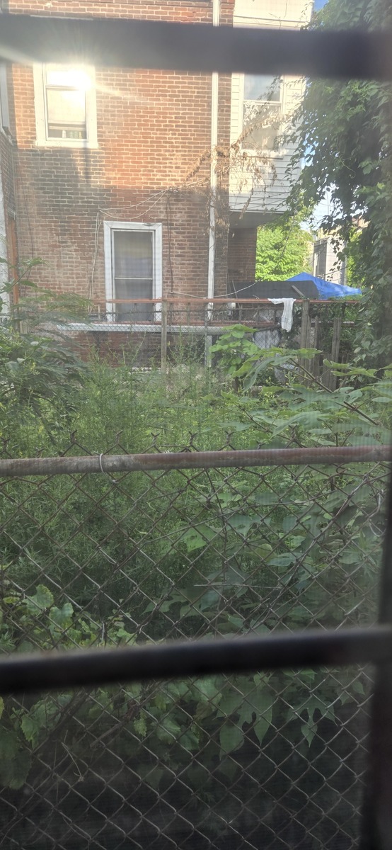 Photographic documentation of the work as submitted to the city's 311 record.