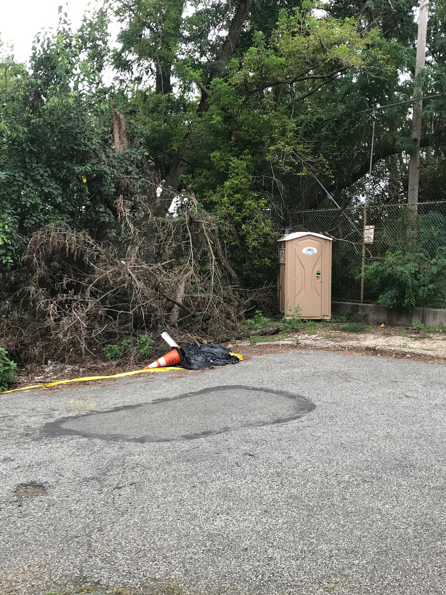 Photographic documentation of the work as submitted to the city's 311 record.