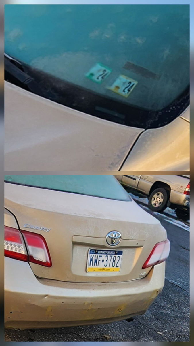 Photographic documentation of the work as submitted to the city's 311 record.
