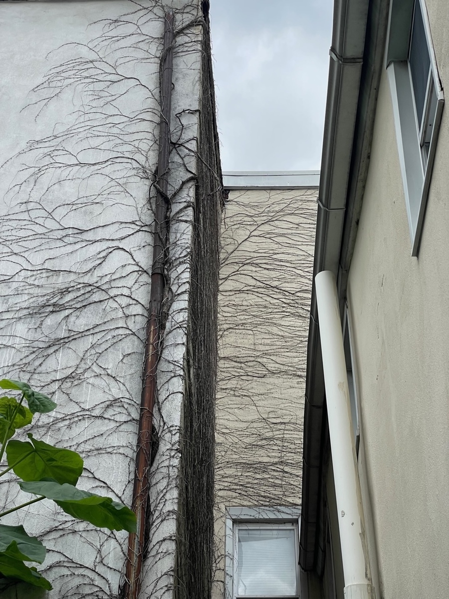 Photographic documentation of the work as submitted to the city's 311 record.