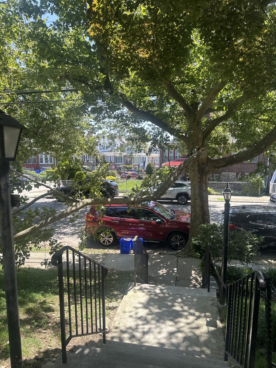 Photographic documentation of the work as submitted to the city's 311 record.