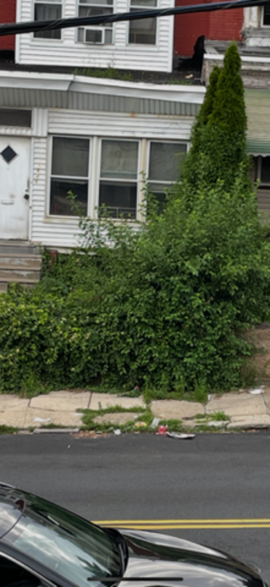 Photographic documentation of the work as submitted to the city's 311 record.