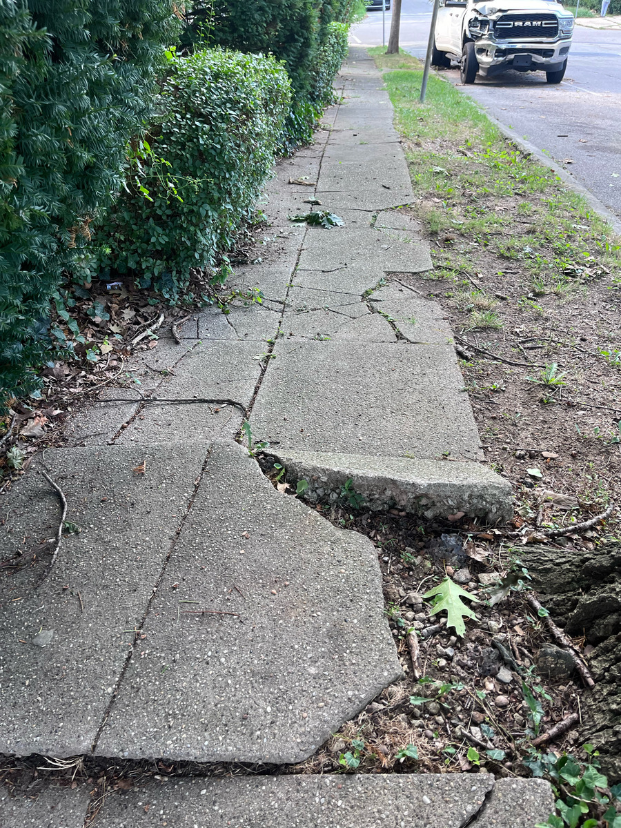 Photographic documentation of the work as submitted to the city's 311 record.