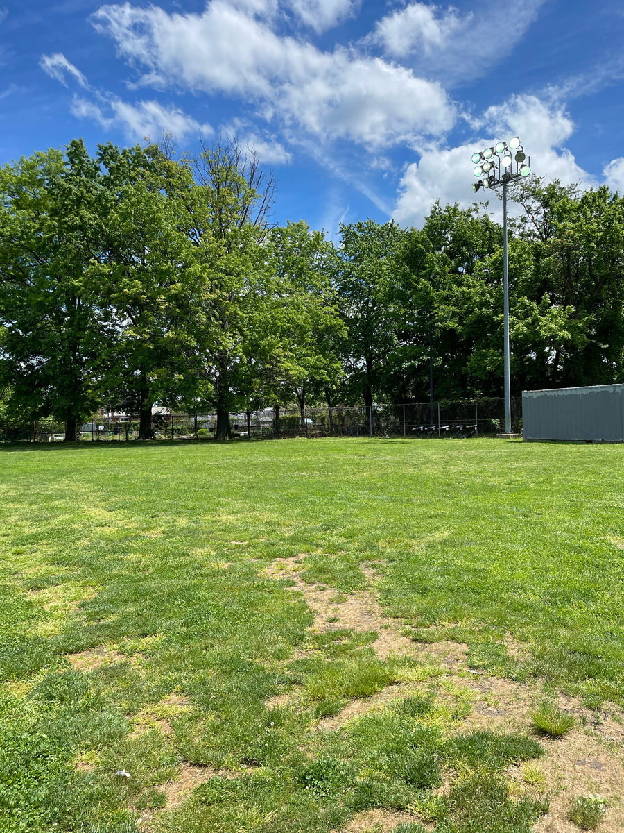 Photographic documentation of the work as submitted to the city's 311 record.