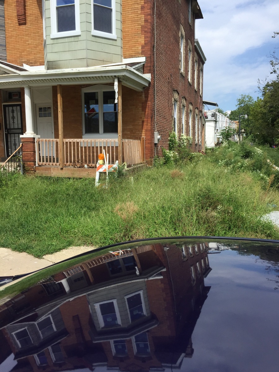 Photographic documentation of the work as submitted to the city's 311 record.