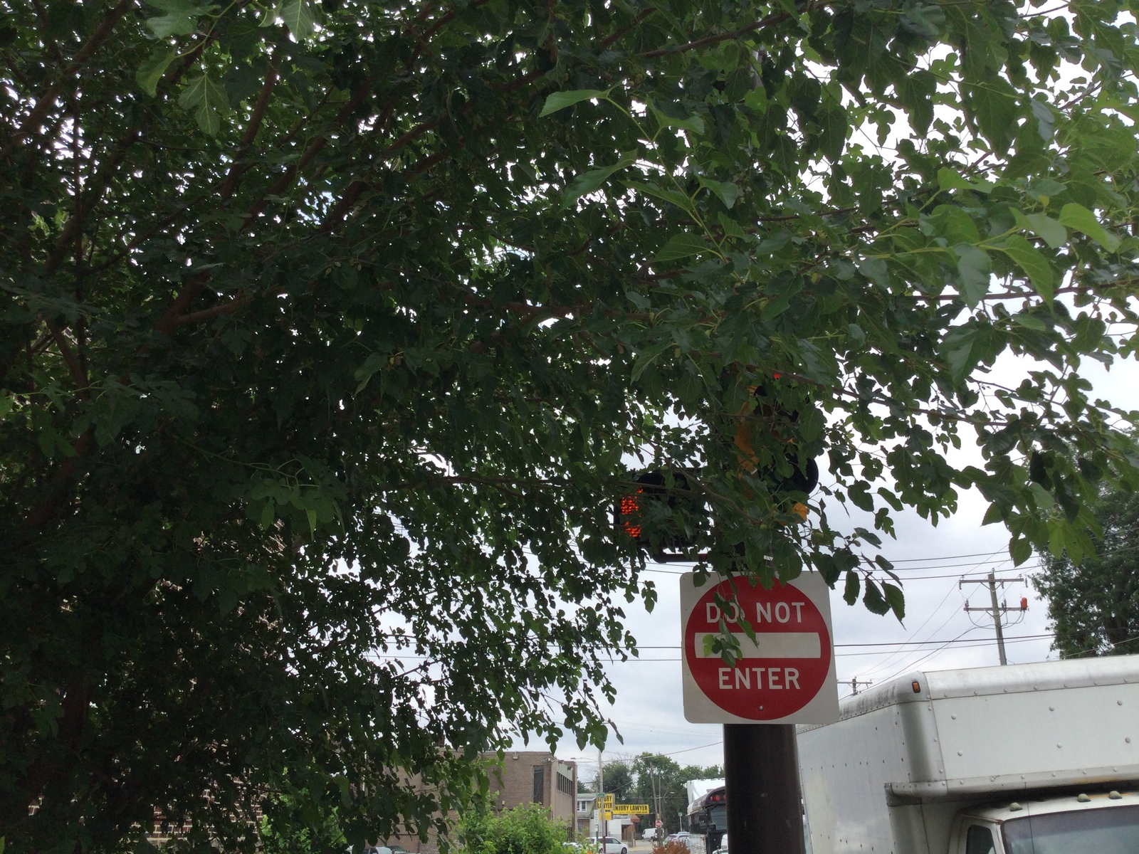 Photographic documentation of the work as submitted to the city's 311 record.