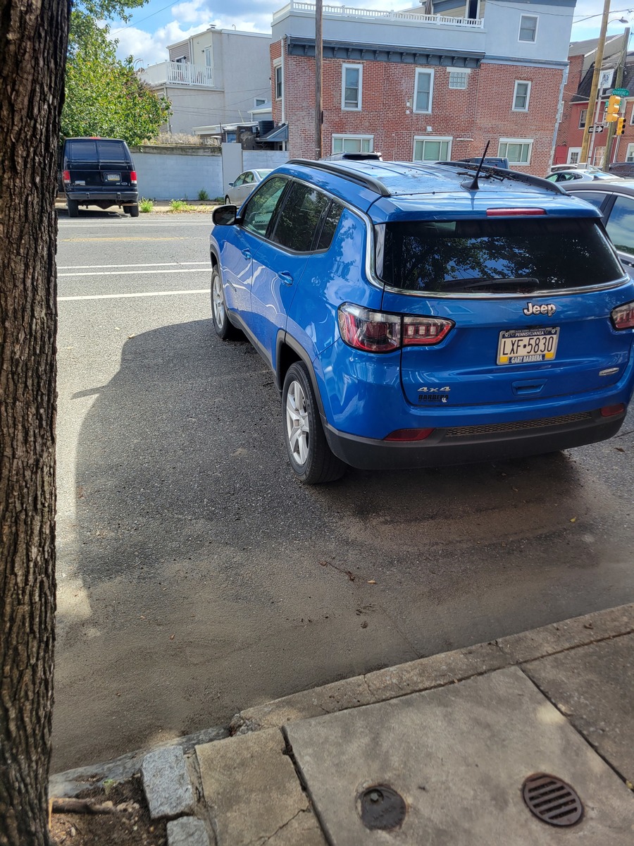 Photographic documentation of the work as submitted to the city's 311 record.