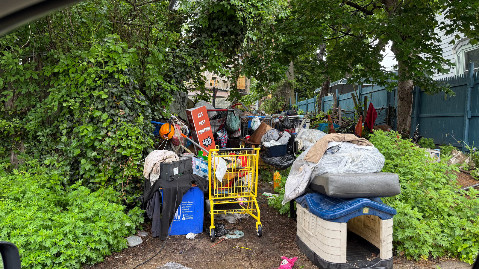 Photographic documentation of the work as submitted to the city's 311 record.