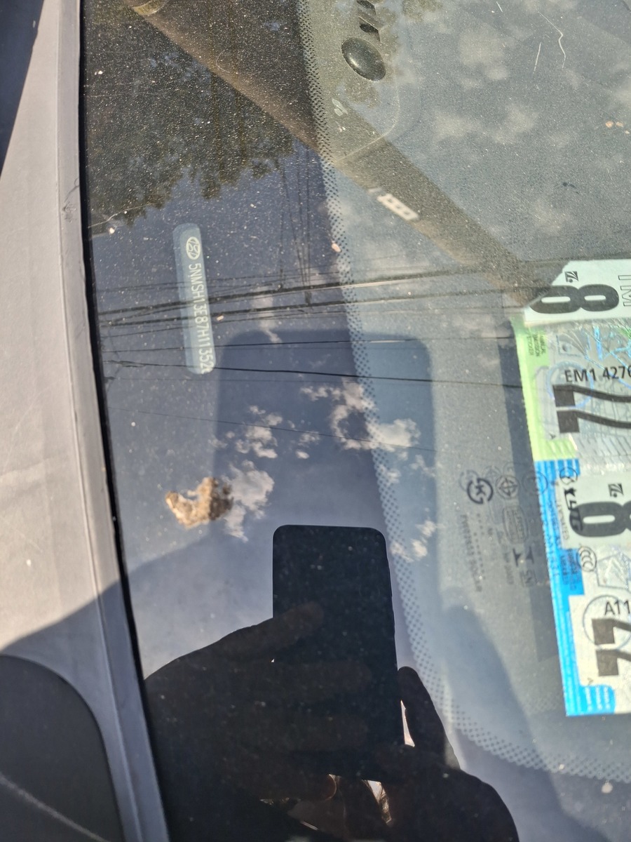 Photographic documentation of the work as submitted to the city's 311 record.