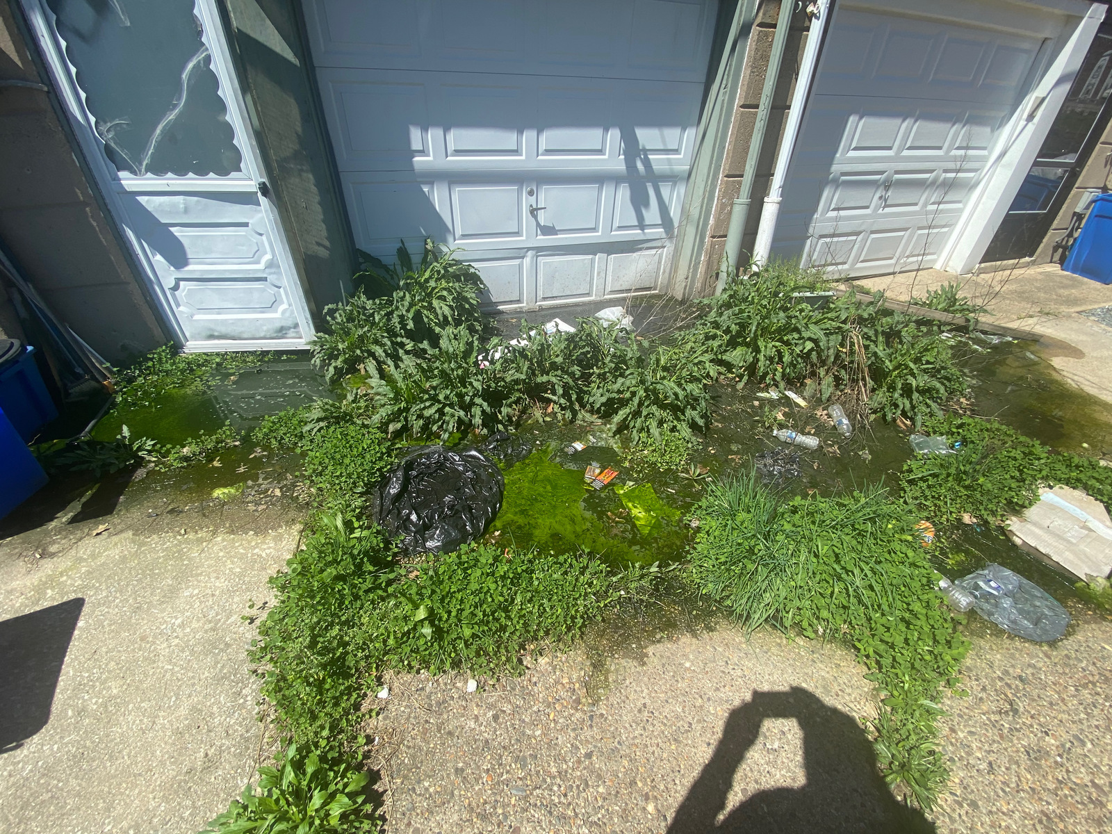 Photographic documentation of the work as submitted to the city's 311 record.