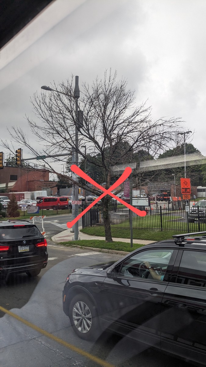 Photographic documentation of the work as submitted to the city's 311 record.