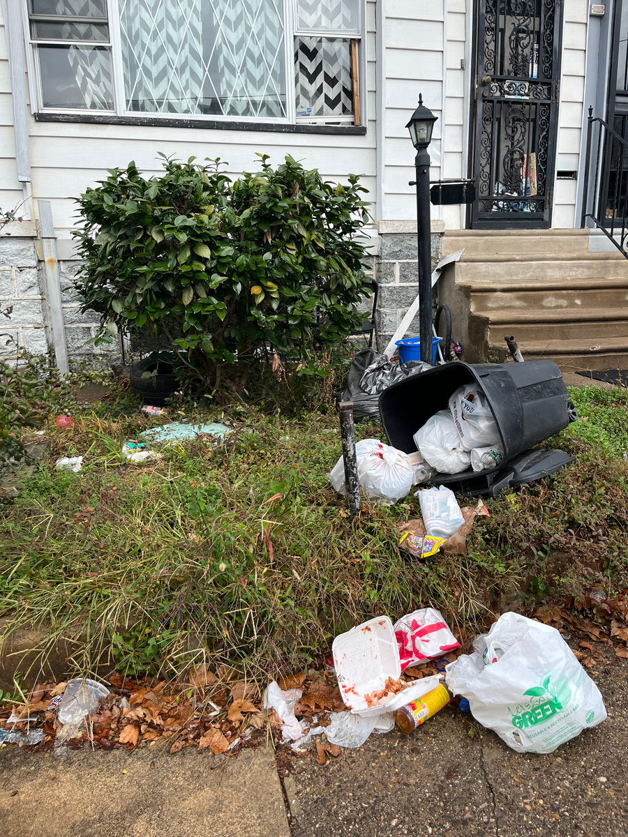 Photographic documentation of the work as submitted to the city's 311 record.