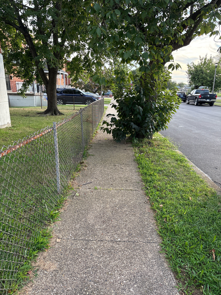 Photographic documentation of the work as submitted to the city's 311 record.