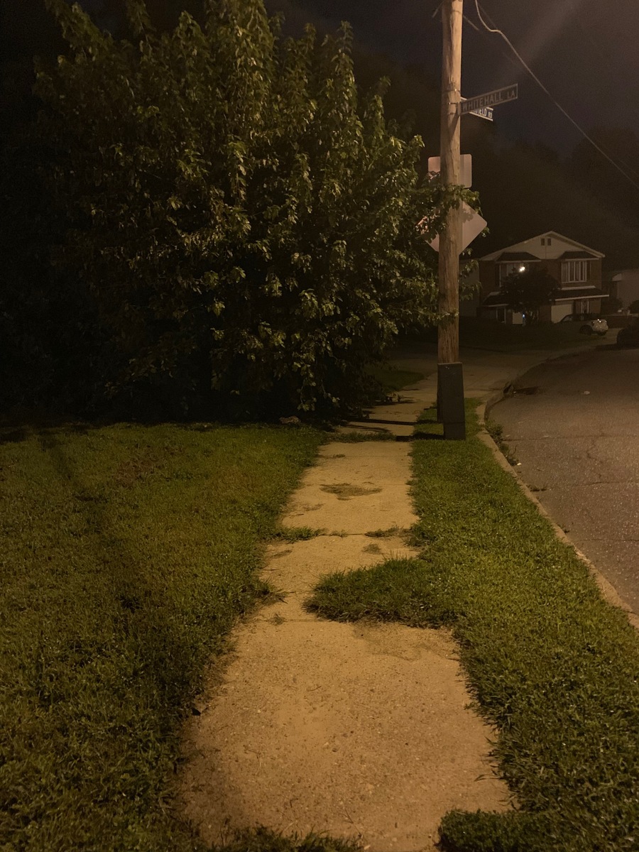 Photographic documentation of the work as submitted to the city's 311 record.