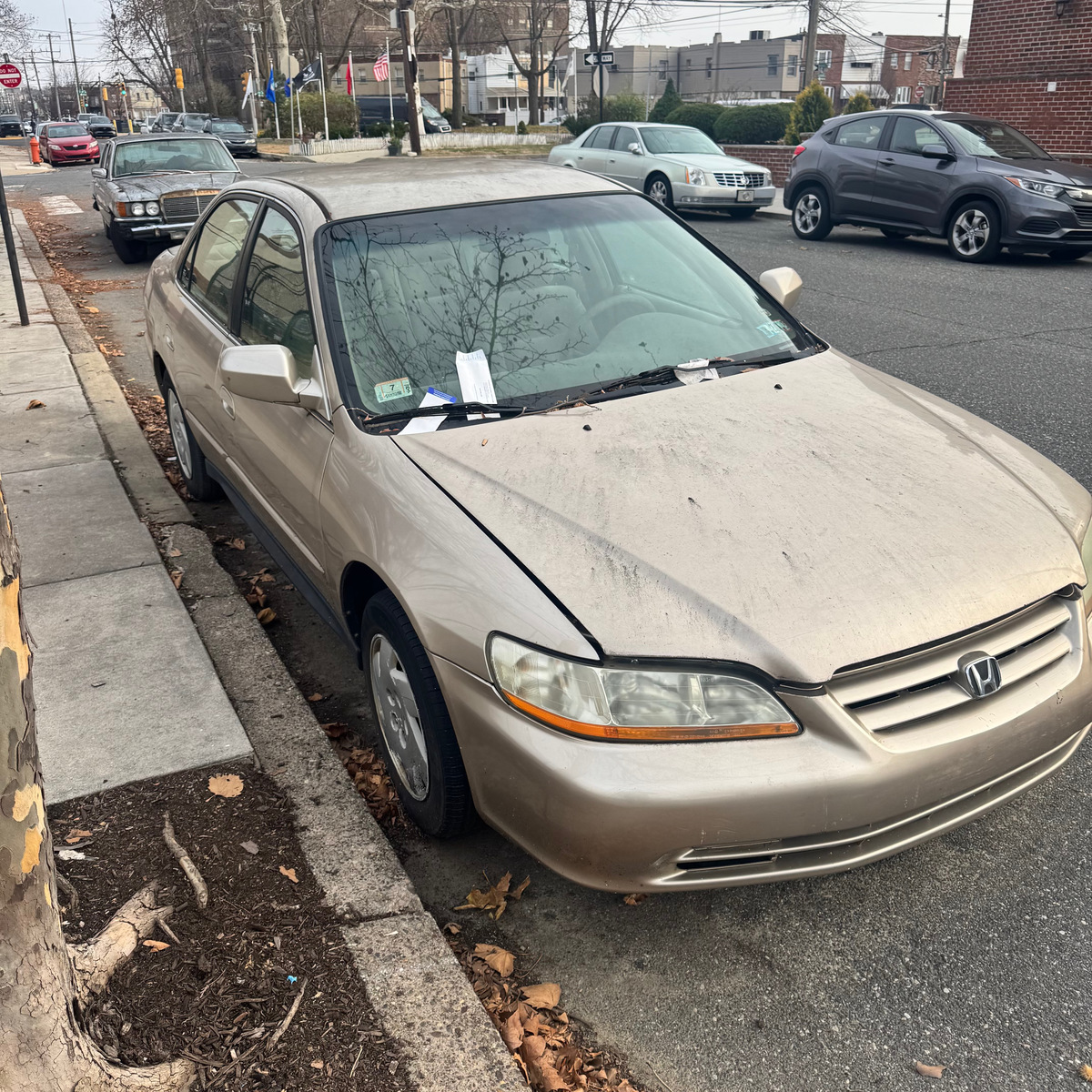 Photographic documentation of the work as submitted to the city's 311 record.