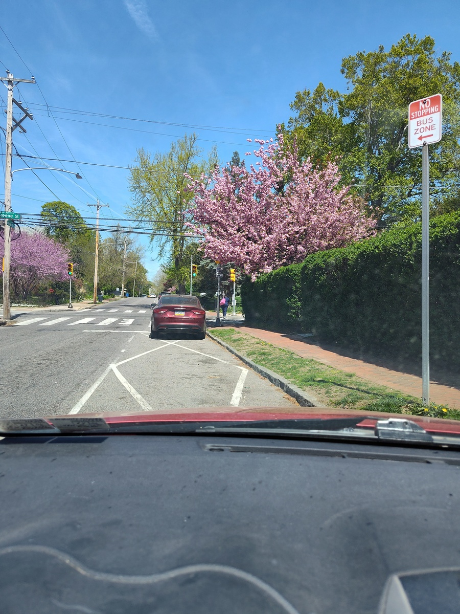 Photographic documentation of the work as submitted to the city's 311 record.
