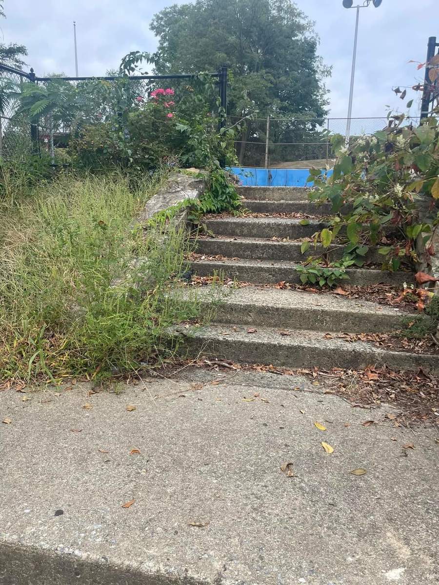 Photographic documentation of the work as submitted to the city's 311 record.