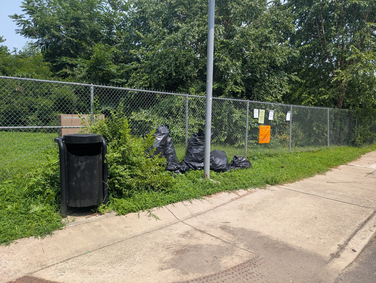 Photographic documentation of the work as submitted to the city's 311 record.