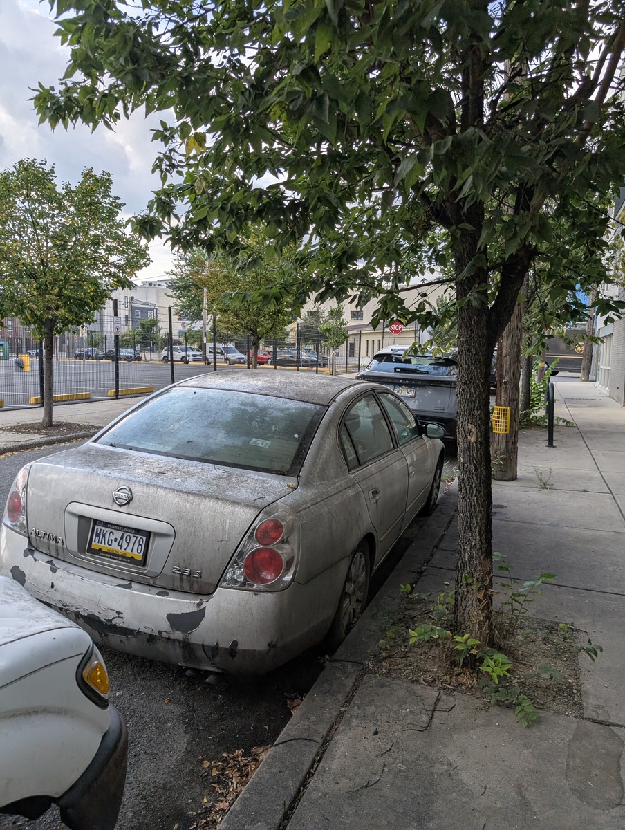 Photographic documentation of the work as submitted to the city's 311 record.