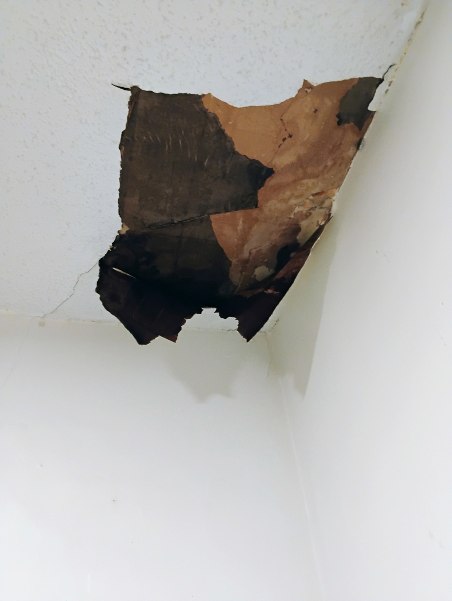 Photographic documentation of the work as submitted to the city's 311 record.