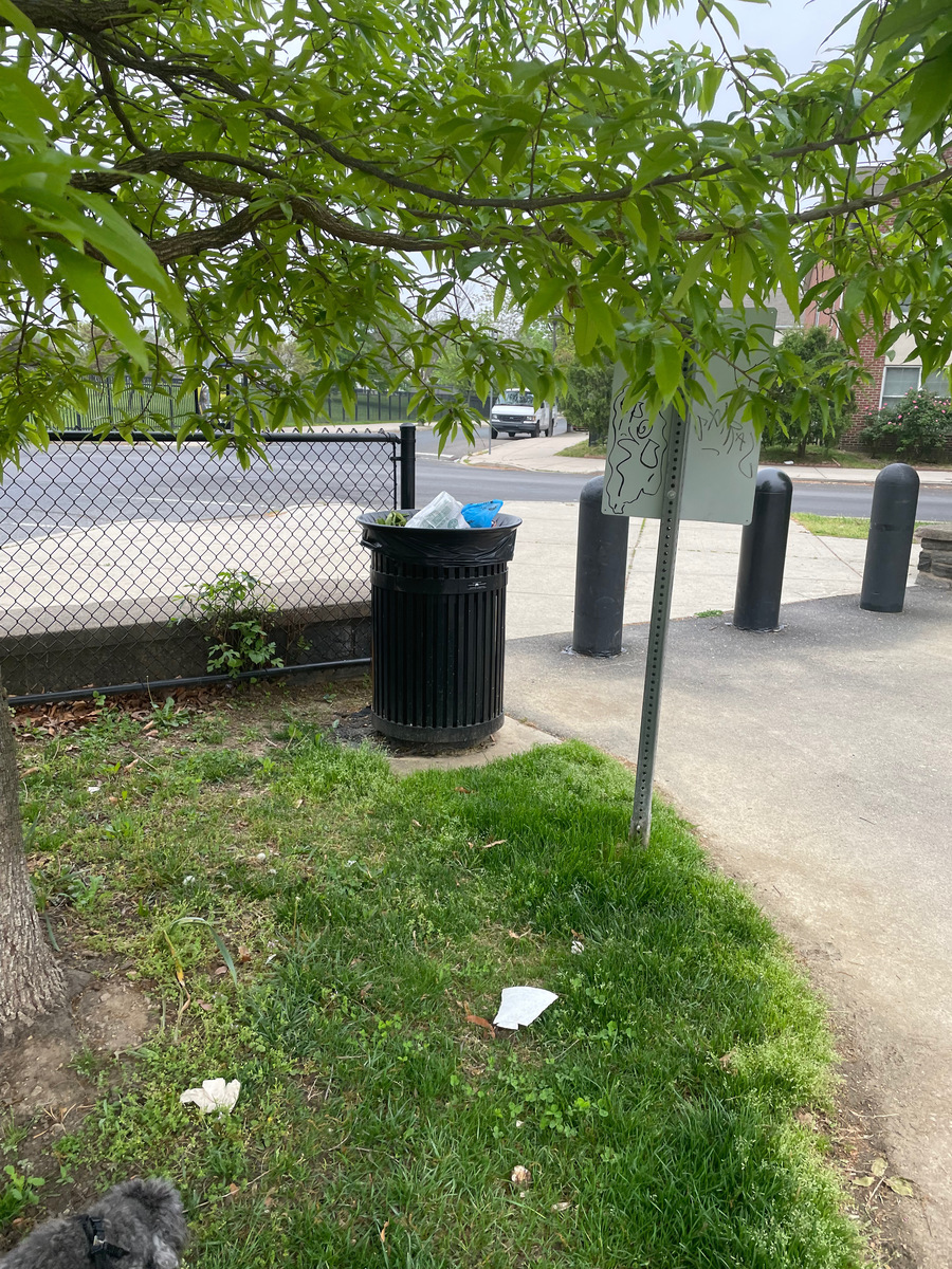 Photographic documentation of the work as submitted to the city's 311 record.