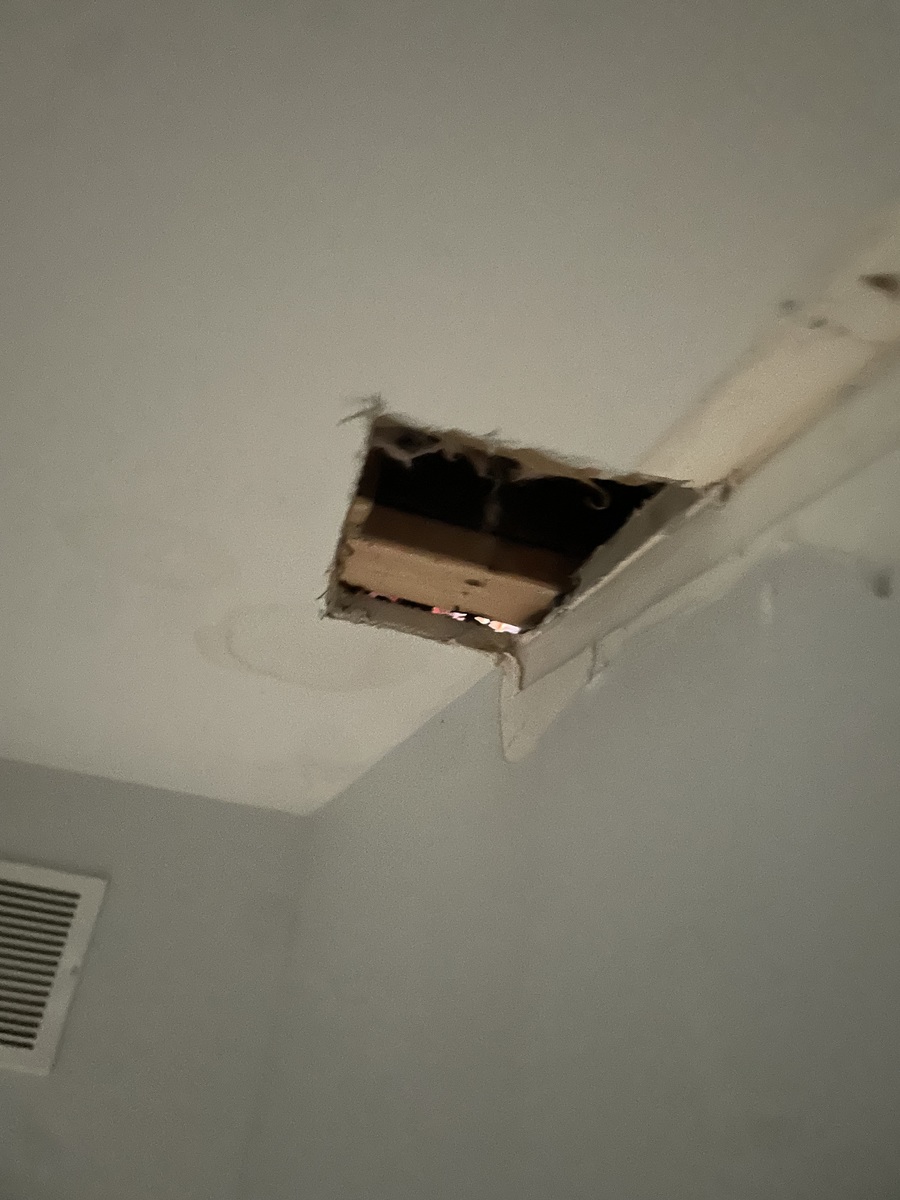 Photographic documentation of the work as submitted to the city's 311 record.