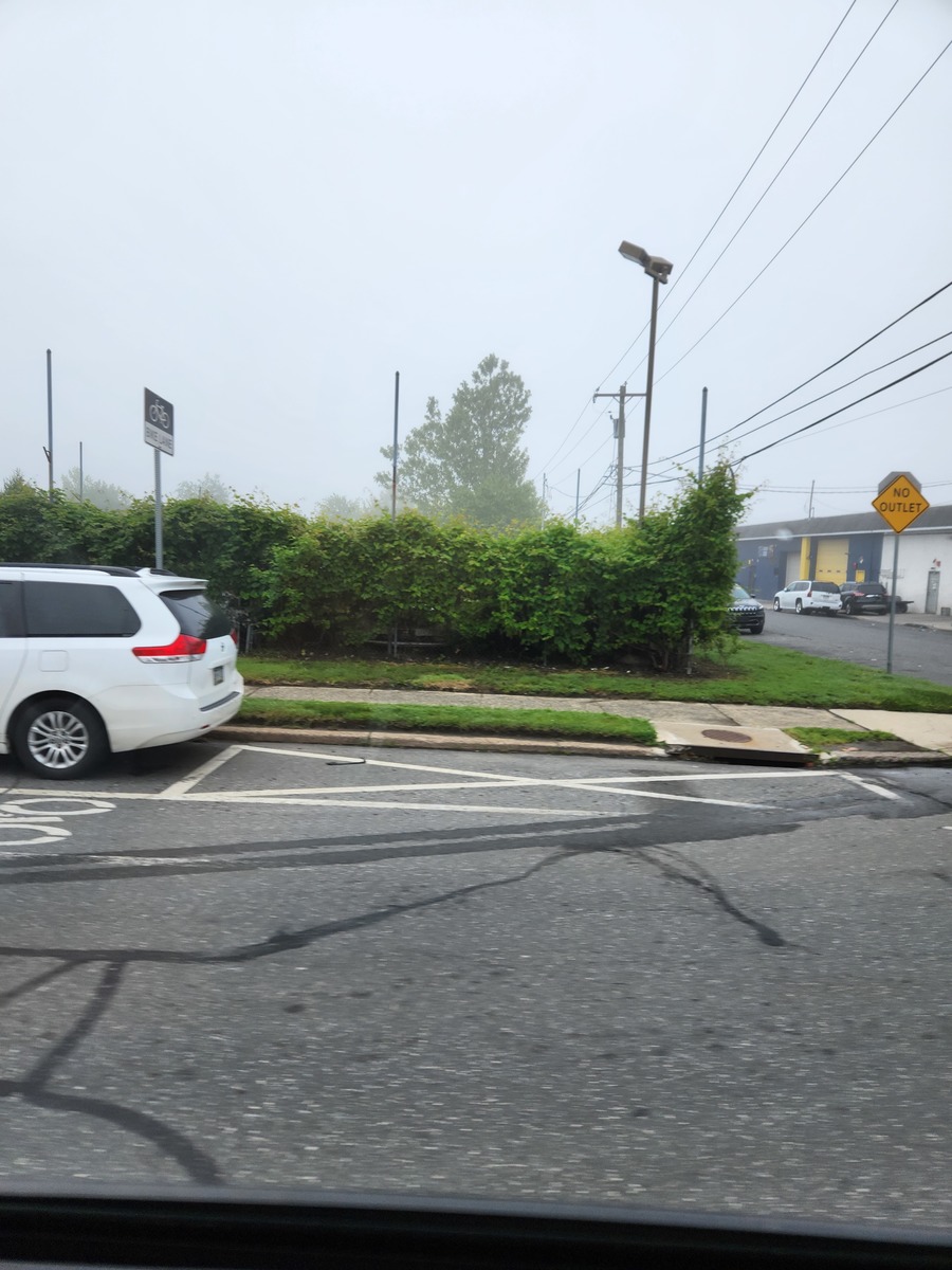 Photographic documentation of the work as submitted to the city's 311 record.