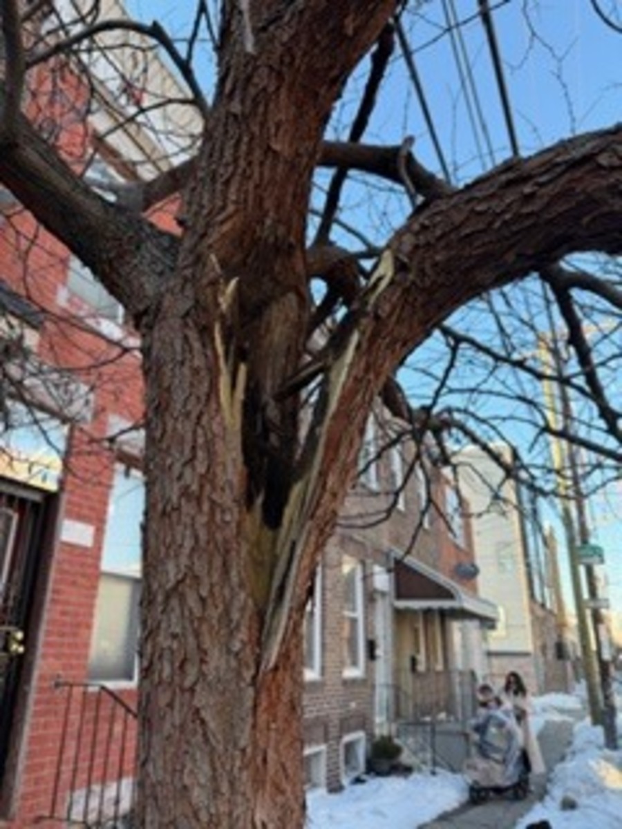 Photographic documentation of the work as submitted to the city's 311 record.