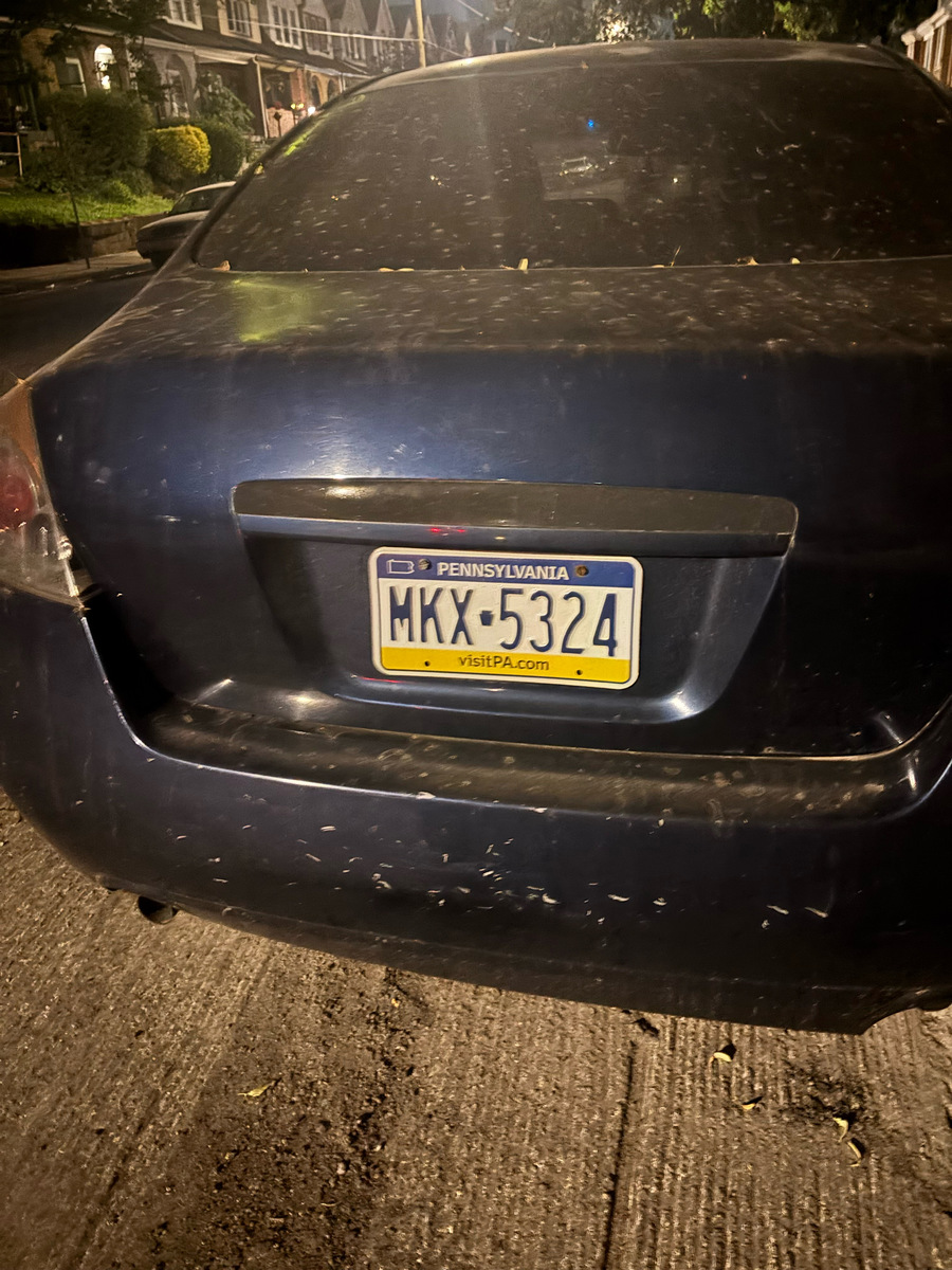 Photographic documentation of the work as submitted to the city's 311 record.