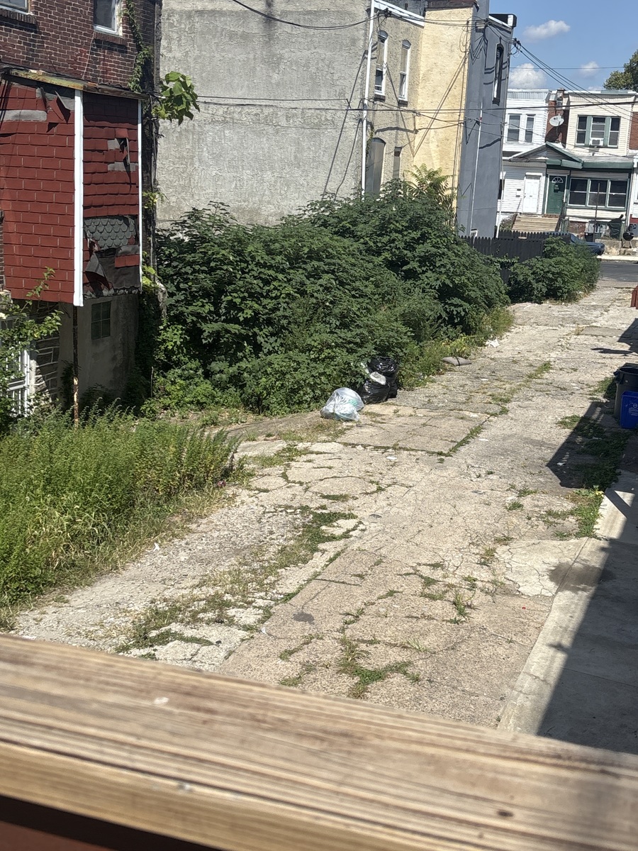 Photographic documentation of the work as submitted to the city's 311 record.