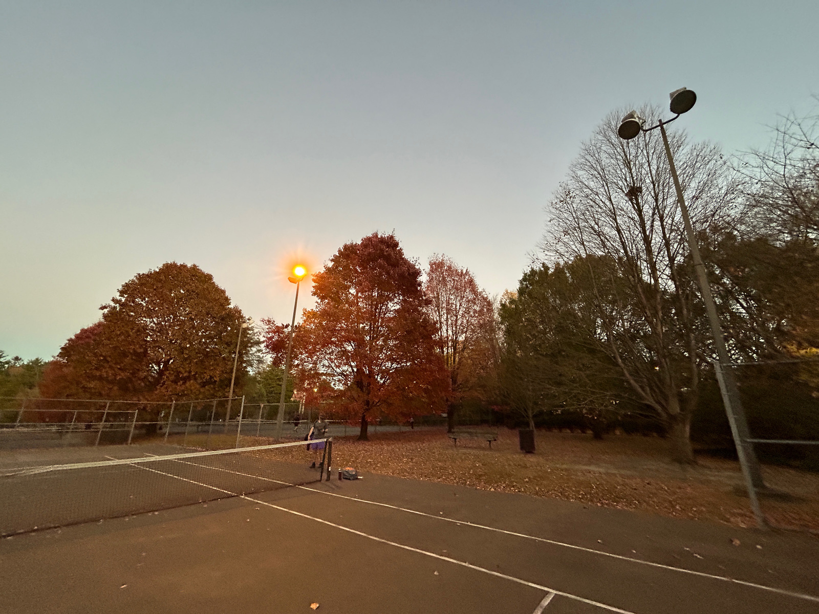 Photographic documentation of the work as submitted to the city's 311 record.