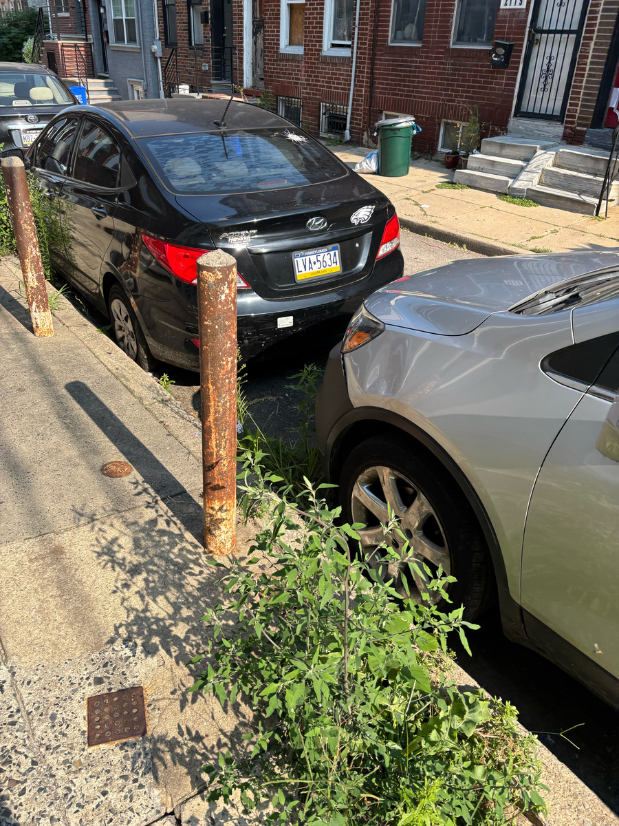 Photographic documentation of the work as submitted to the city's 311 record.