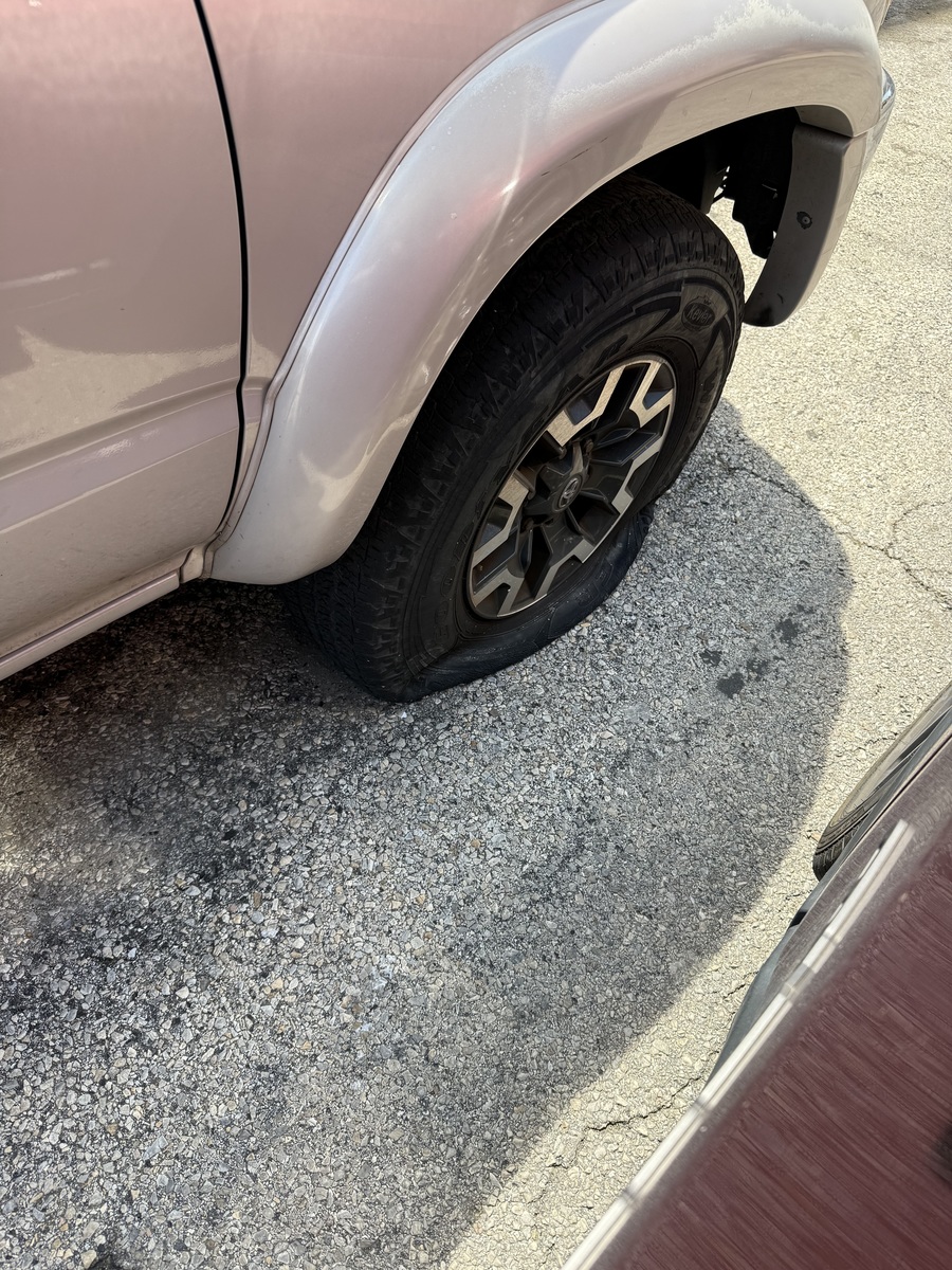 Photographic documentation of the work as submitted to the city's 311 record.