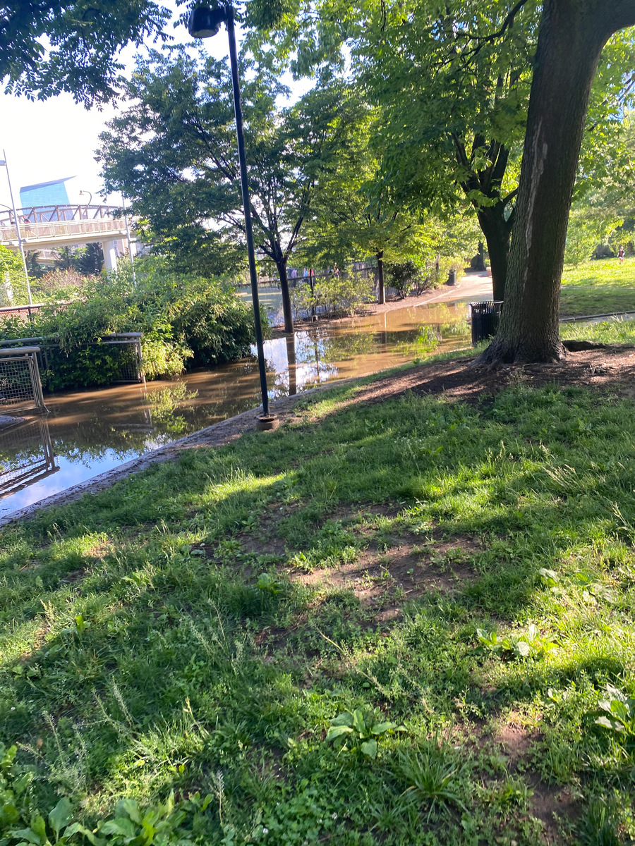 Photographic documentation of the work as submitted to the city's 311 record.