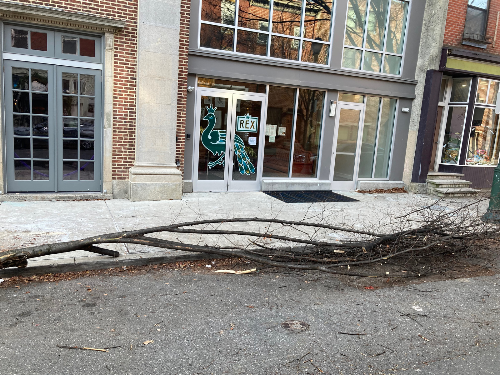 Photographic documentation of the work as submitted to the city's 311 record.