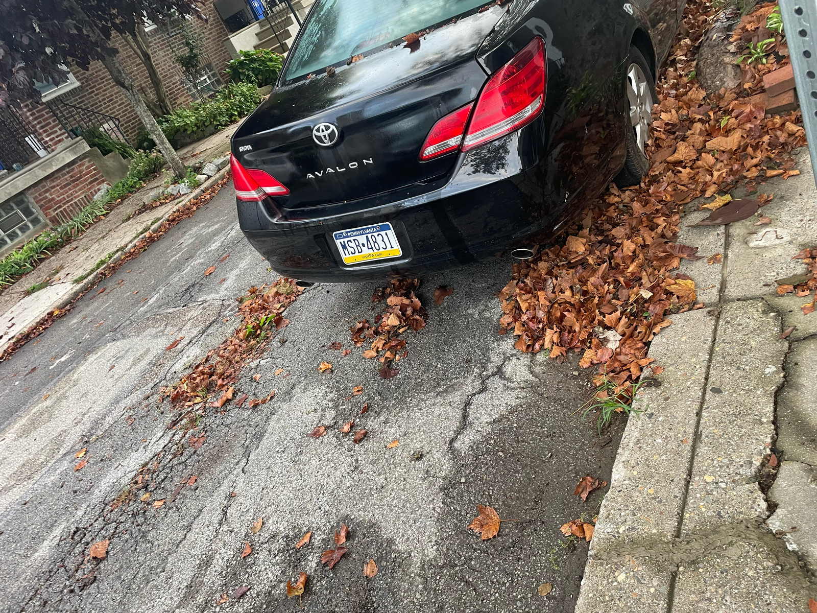 Photographic documentation of the work as submitted to the city's 311 record.
