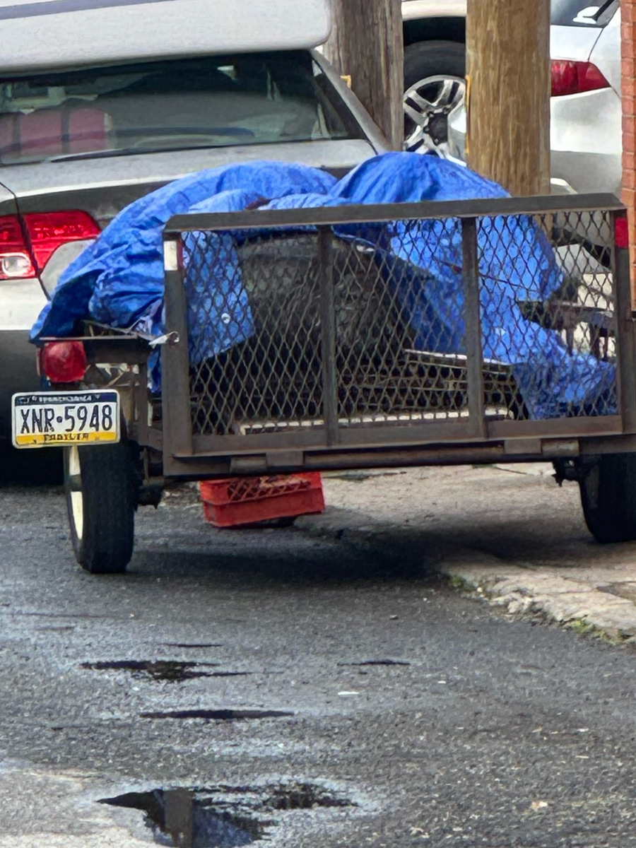 Photographic documentation of the work as submitted to the city's 311 record.