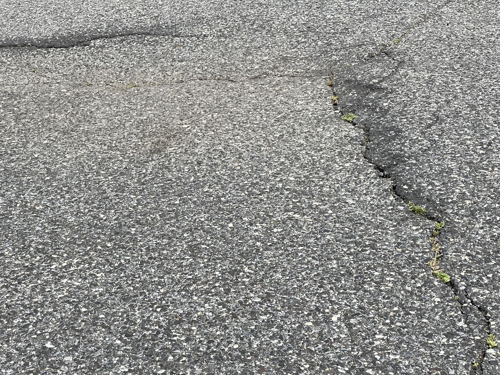 Photographic documentation of the work as submitted to the city's 311 record.