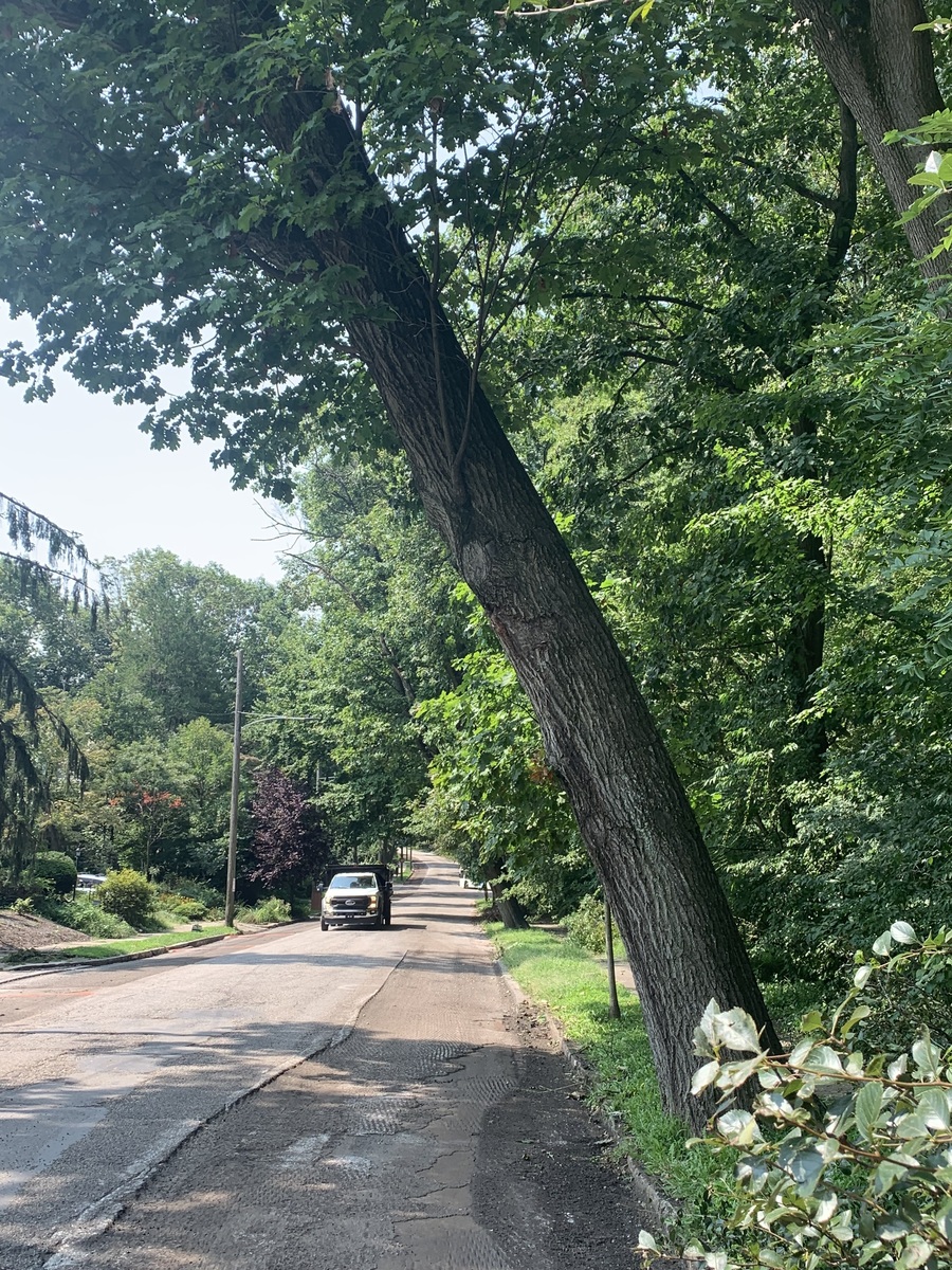 Photographic documentation of the work as submitted to the city's 311 record.