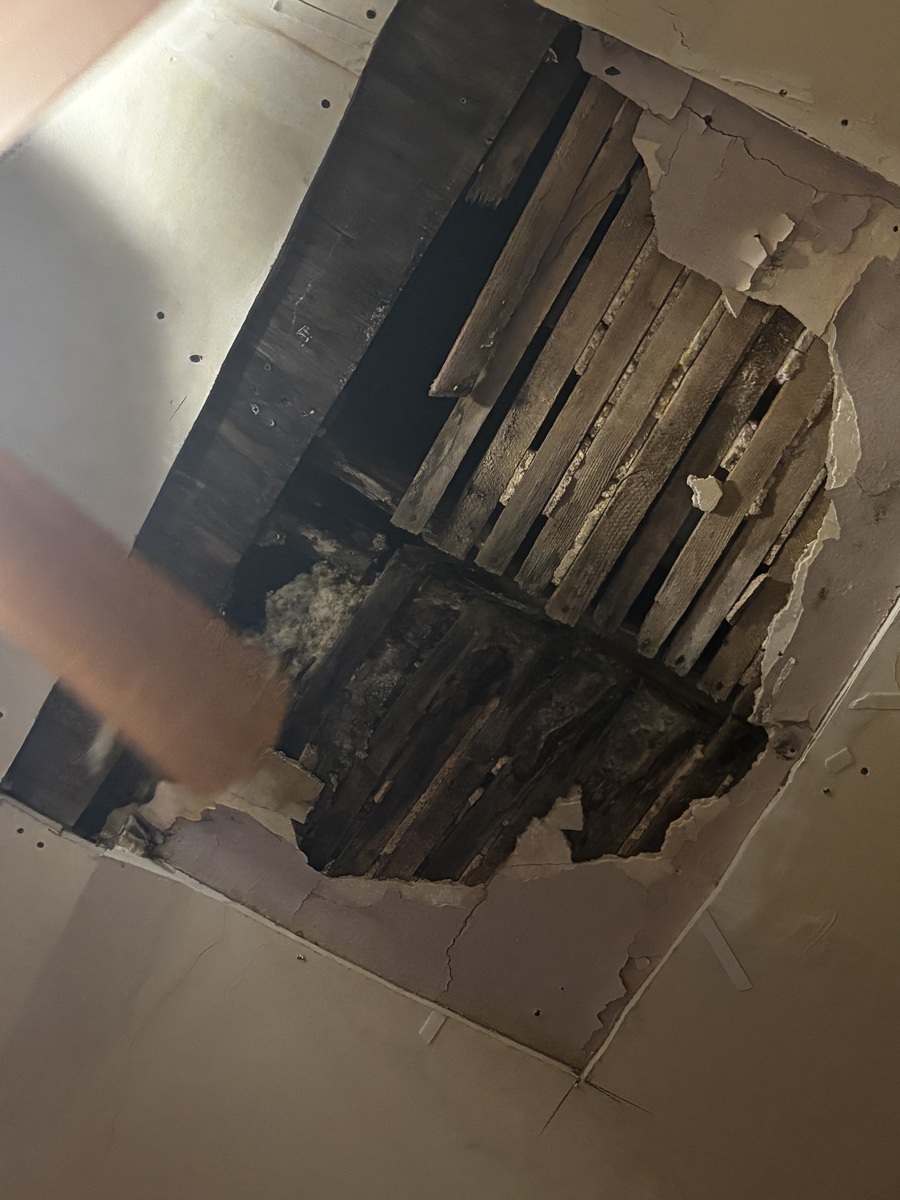 Photographic documentation of the work as submitted to the city's 311 record.