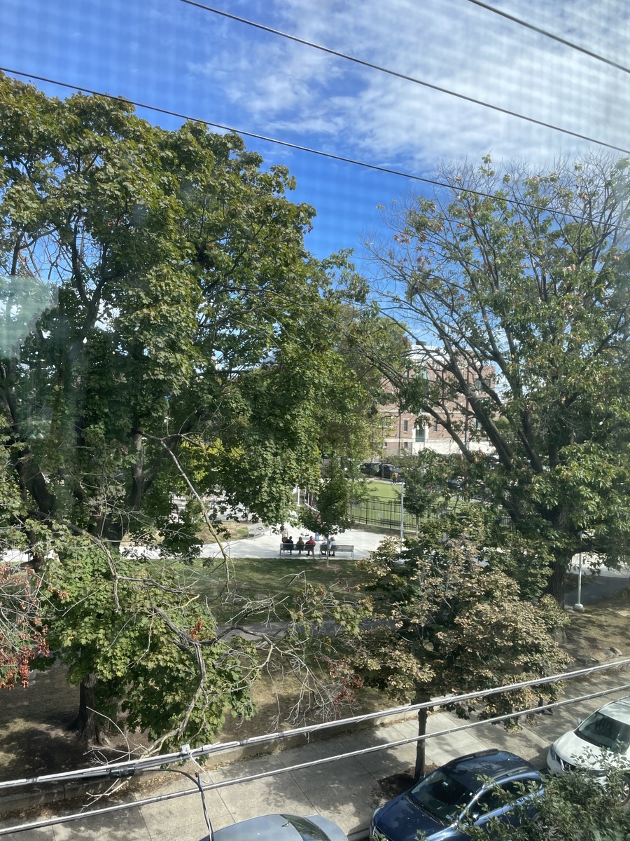Photographic documentation of the work as submitted to the city's 311 record.