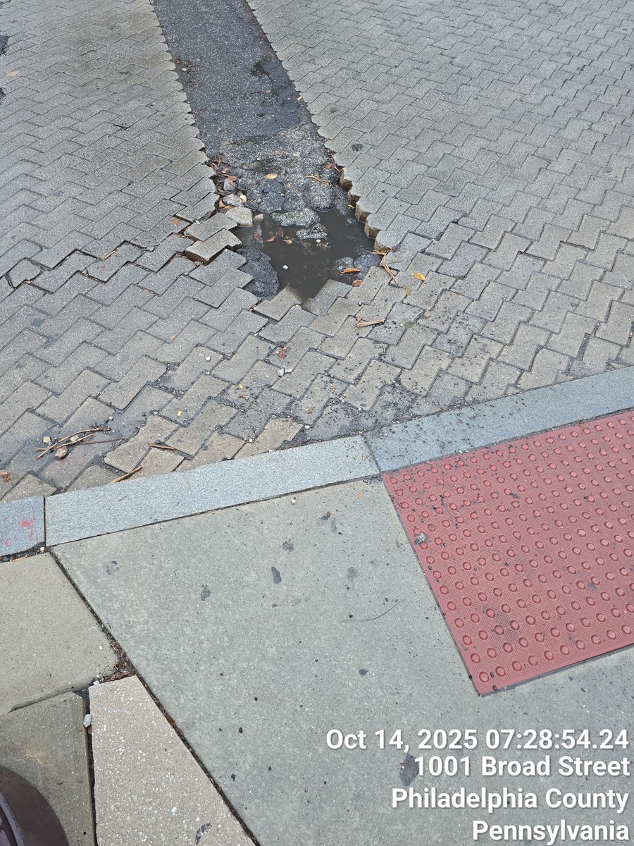 Photographic documentation of the work as submitted to the city's 311 record.
