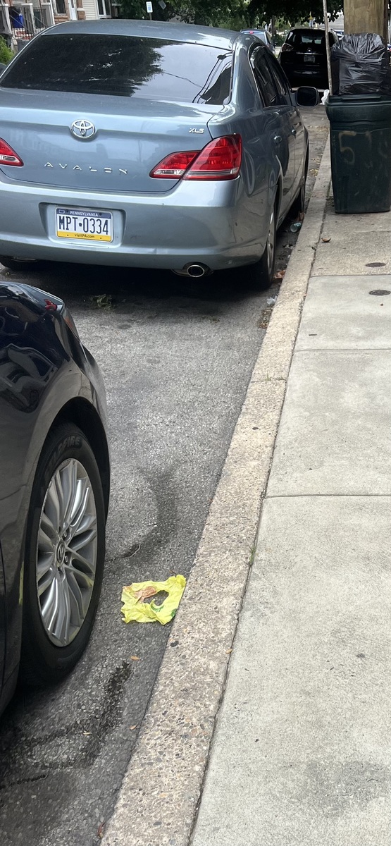 Photographic documentation of the work as submitted to the city's 311 record.
