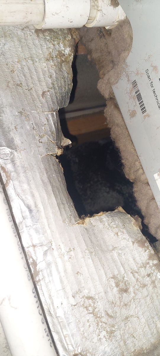 Photographic documentation of the work as submitted to the city's 311 record.