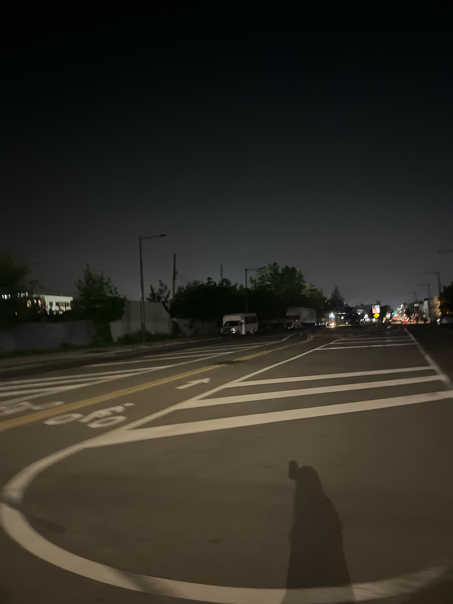 Photographic documentation of the work as submitted to the city's 311 record.