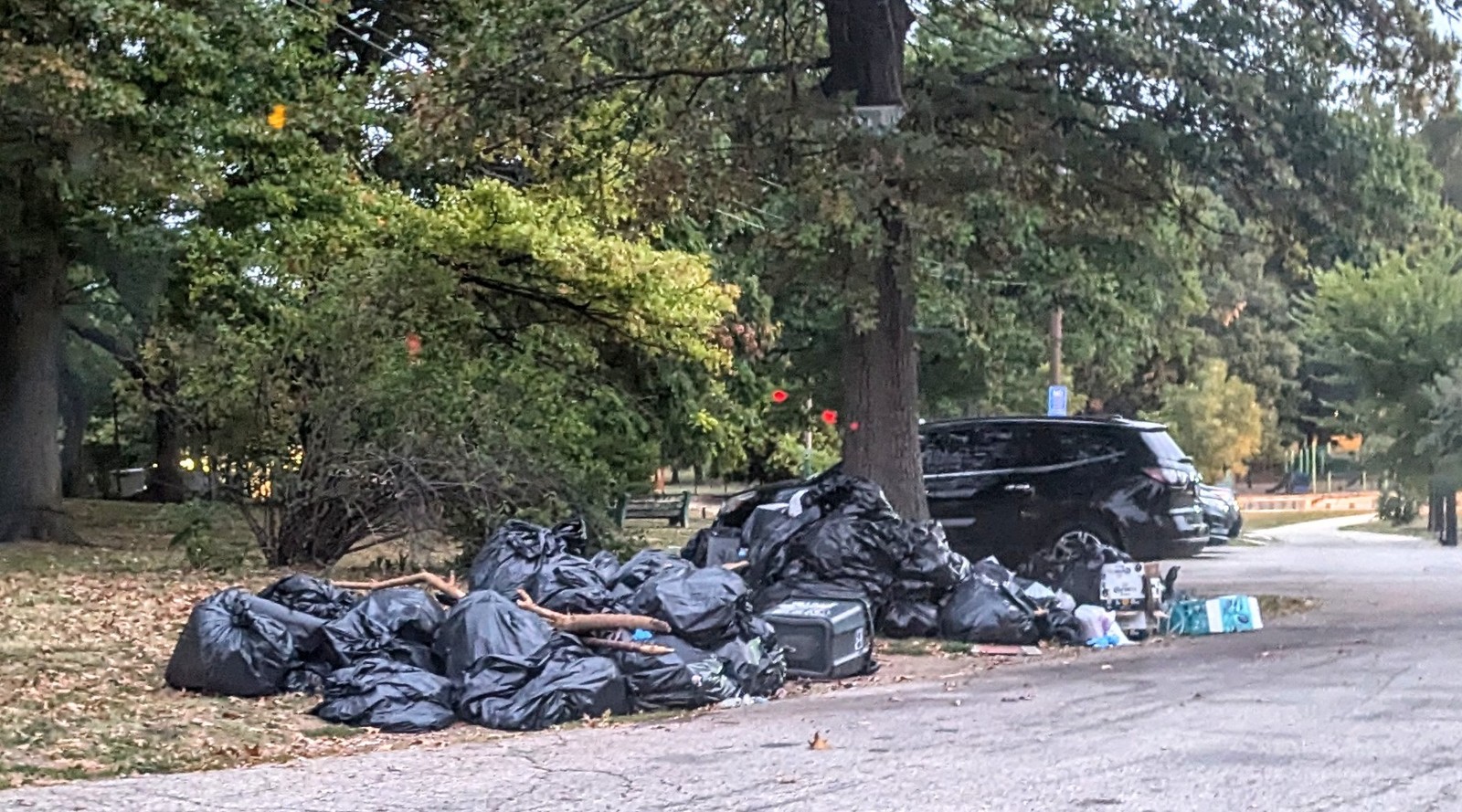 Photographic documentation of the work as submitted to the city's 311 record.