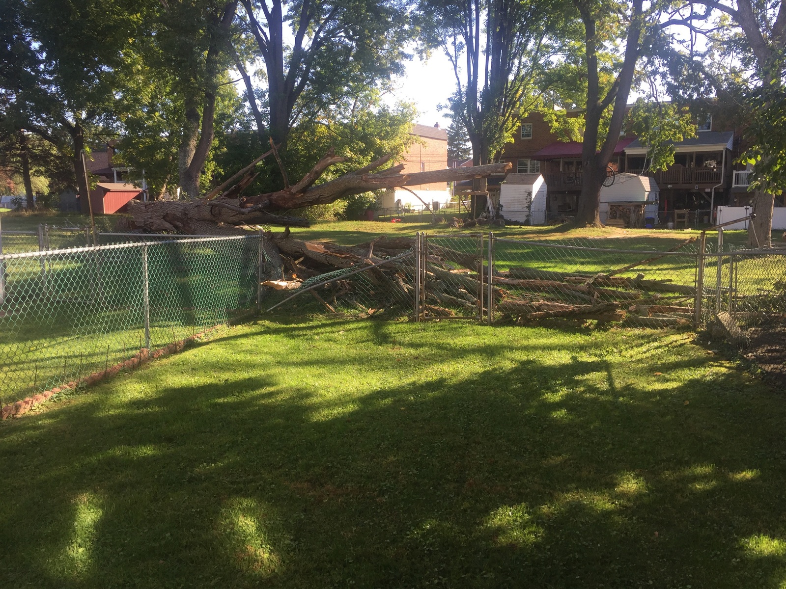 Photographic documentation of the work as submitted to the city's 311 record.