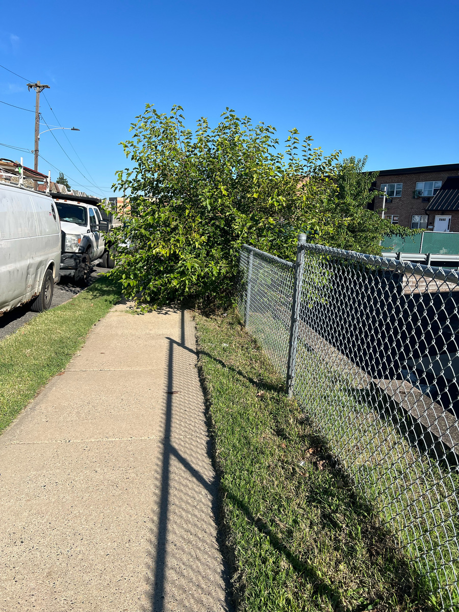 Photographic documentation of the work as submitted to the city's 311 record.