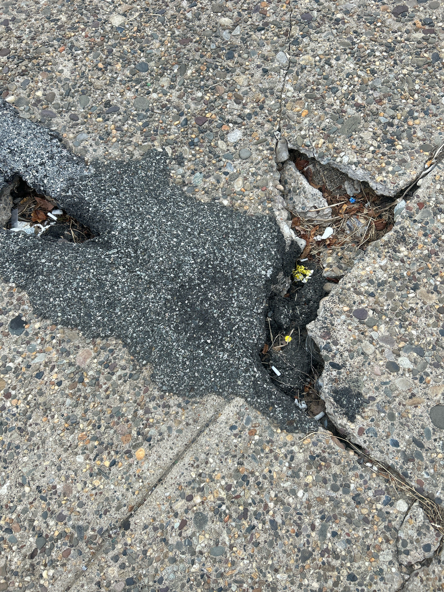 Photographic documentation of the work as submitted to the city's 311 record.
