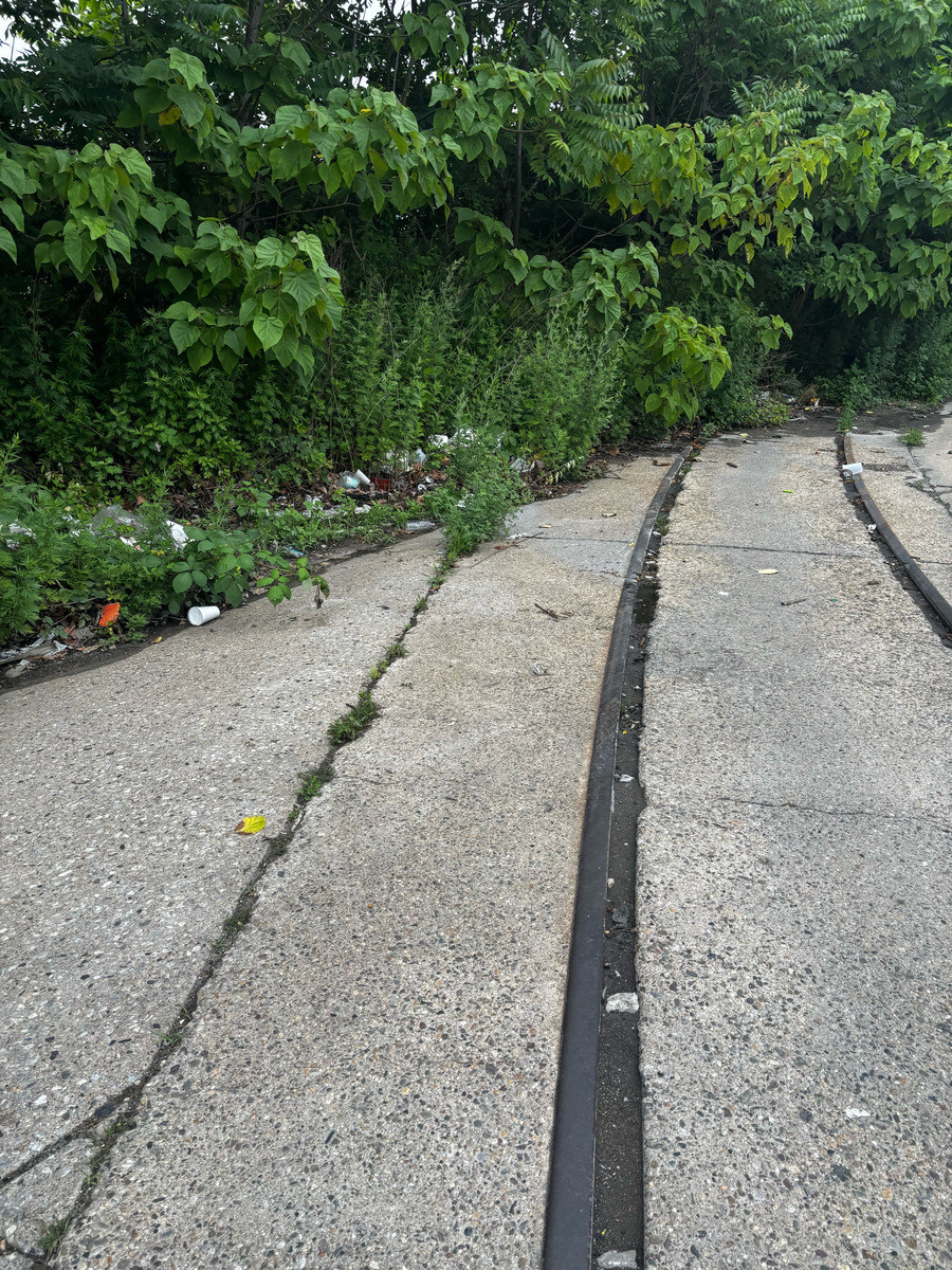 Photographic documentation of the work as submitted to the city's 311 record.